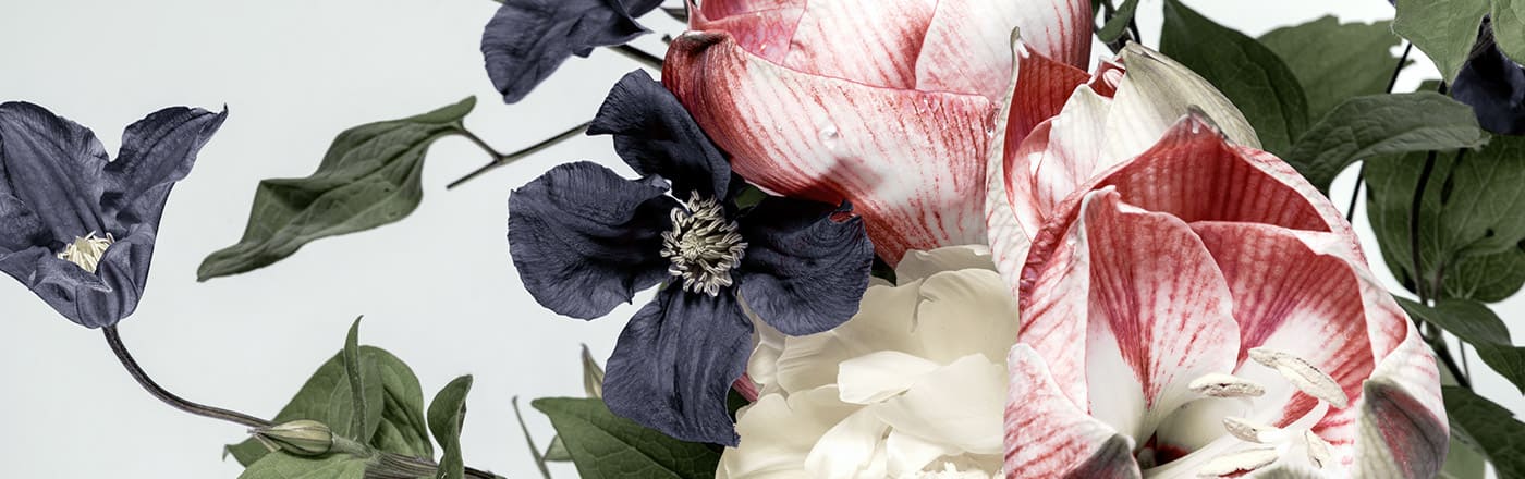 有料母乳動画配信サイト比較